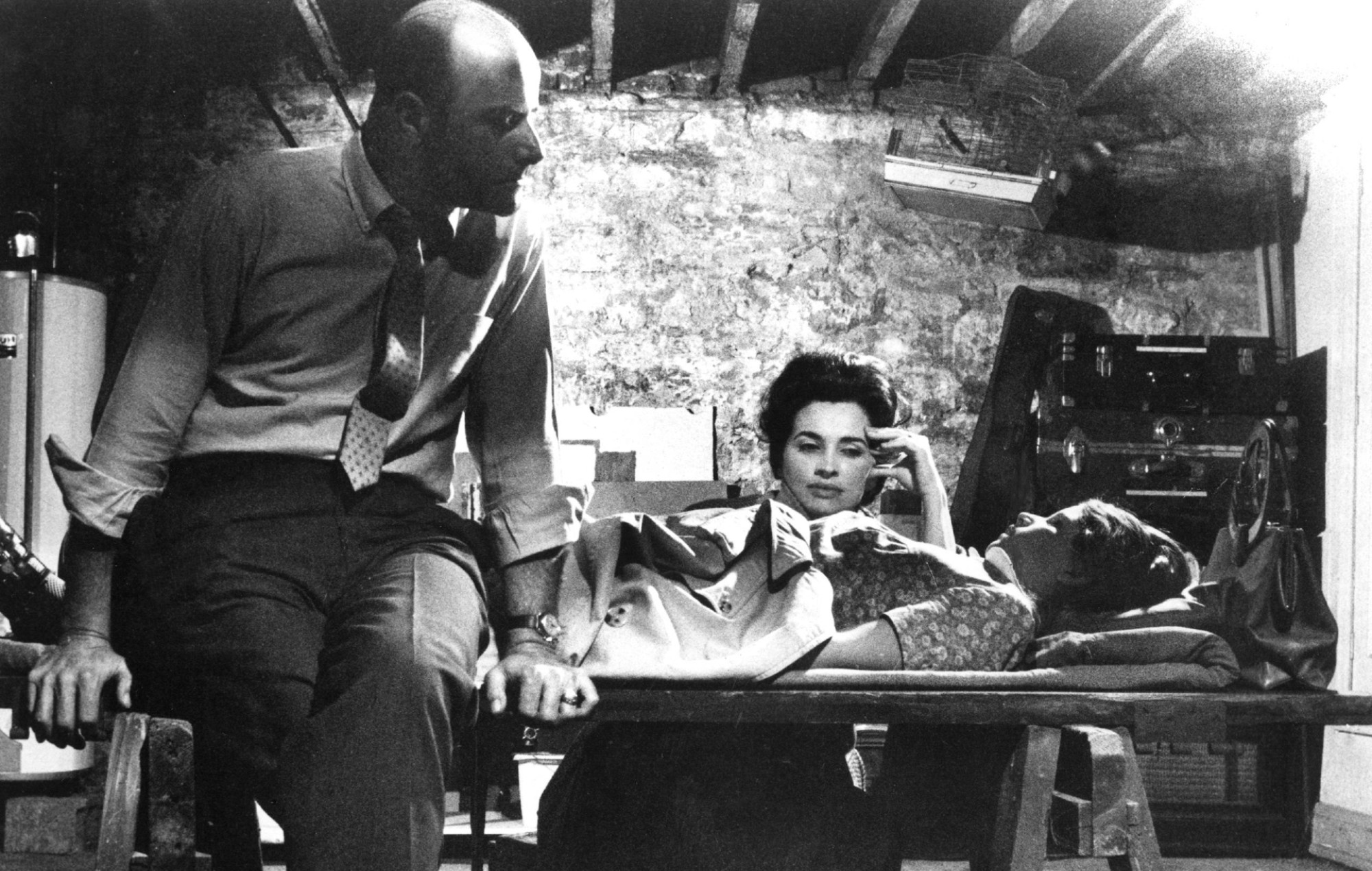 Marilyn Eastman, night of the living dead