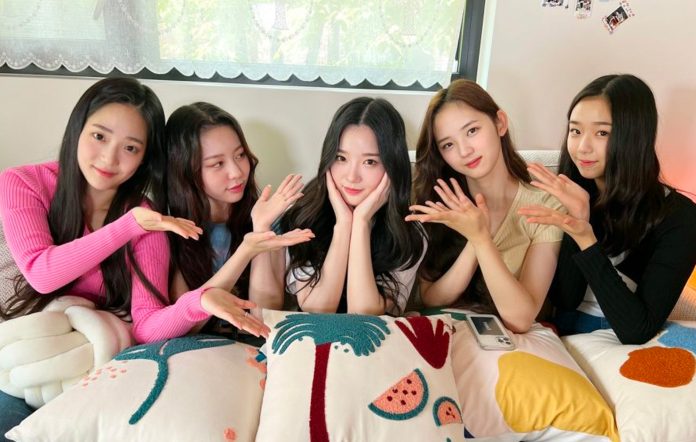 Modhaus to launch tripleS - K-pop's first girl group with NFT fan